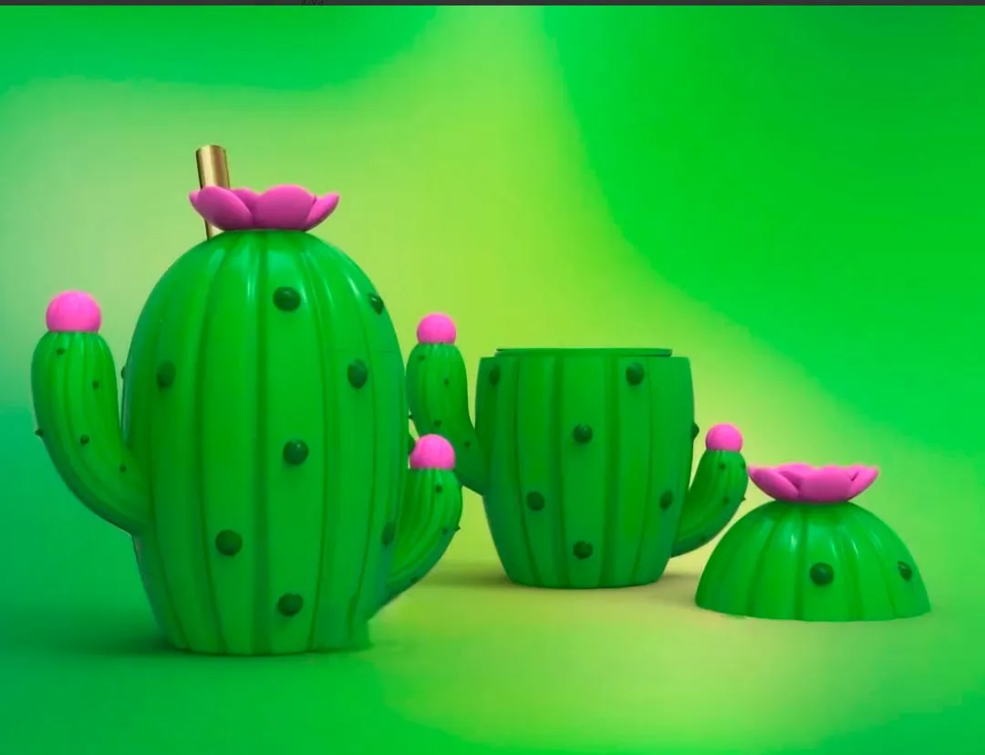 Vaso Cactus