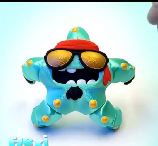 Flexi - Factory Biker Starfish