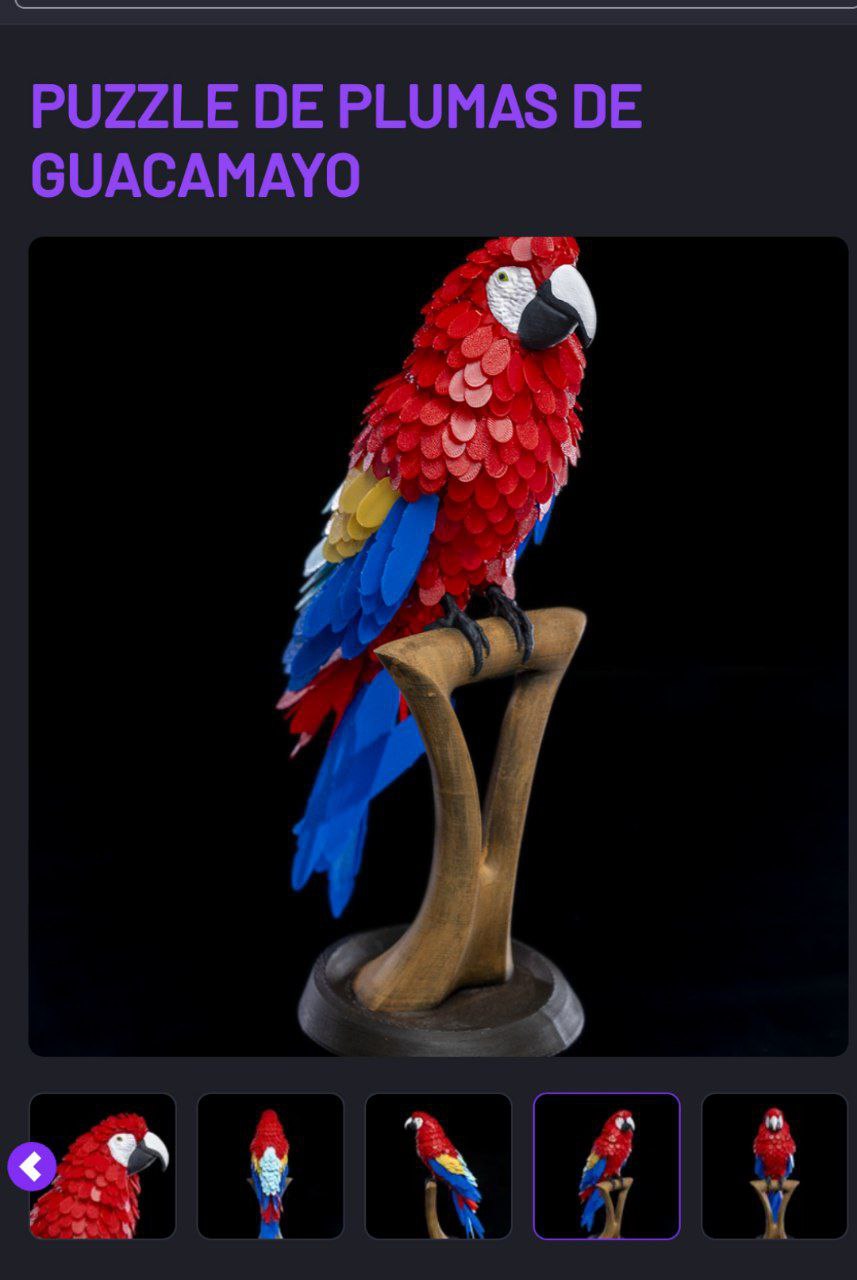 Macaw Feather Puzzle
