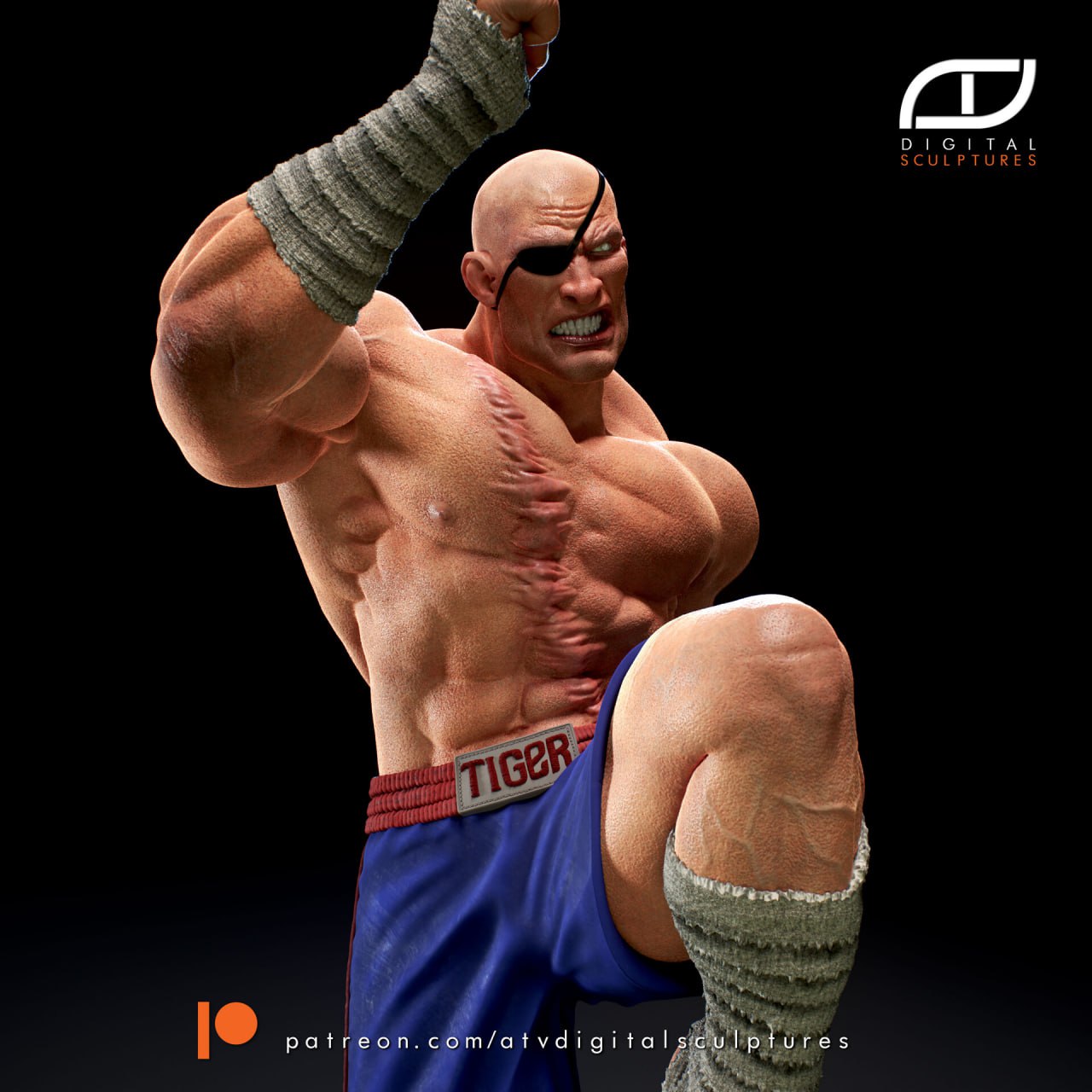 ATV -Sagat - Street Fighter