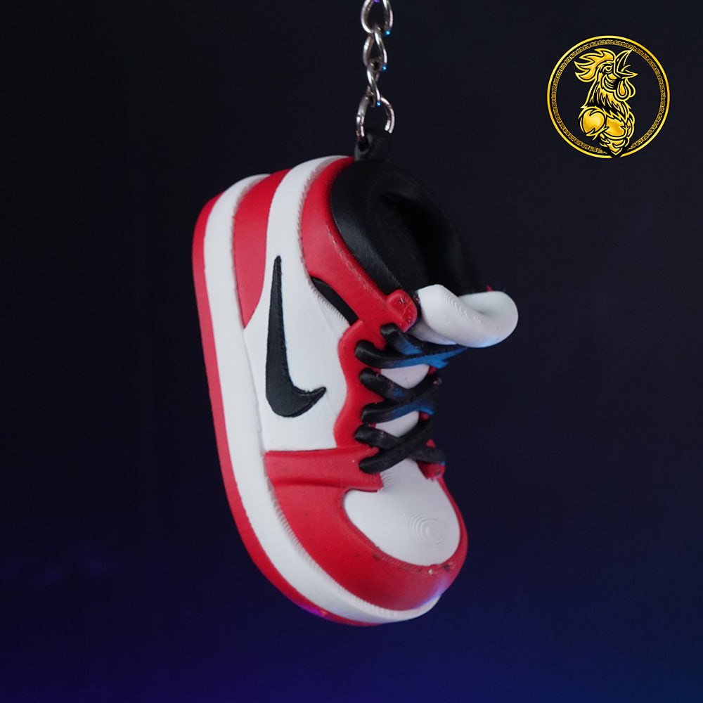 Shoe Nike Keychain