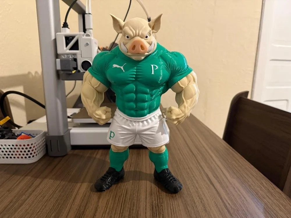 Mascote Do Palmeiras Multi Partes By Ss Print