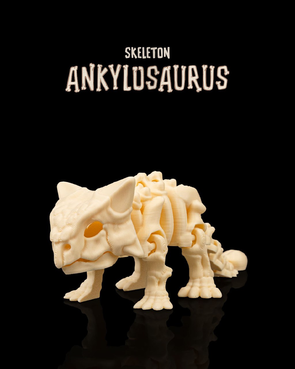 Skeleton Ankylosaurus B2614eab26