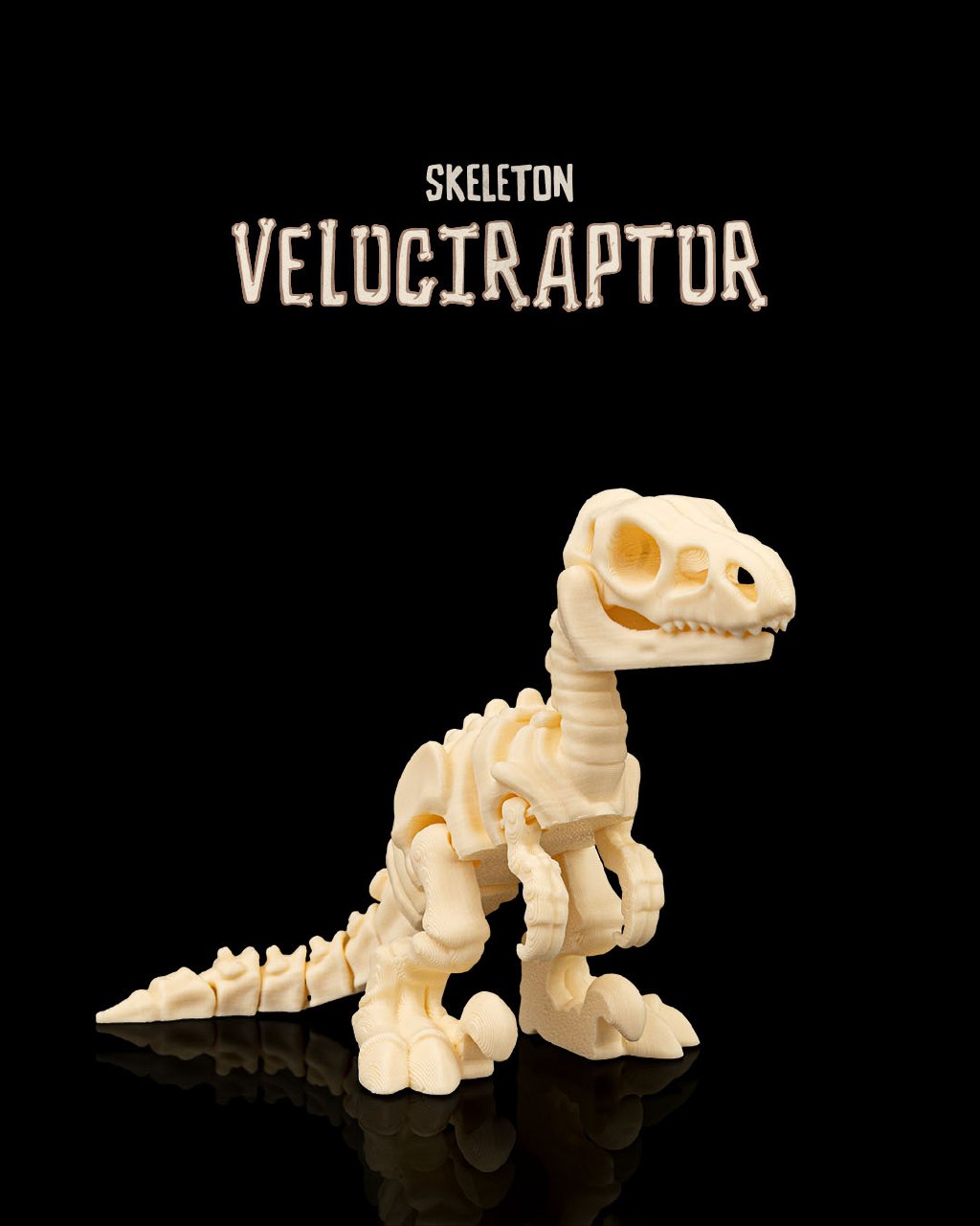Skeleton Velociraptor E2a97d837a