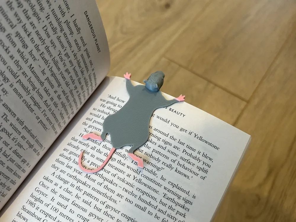 Rat Book Mark