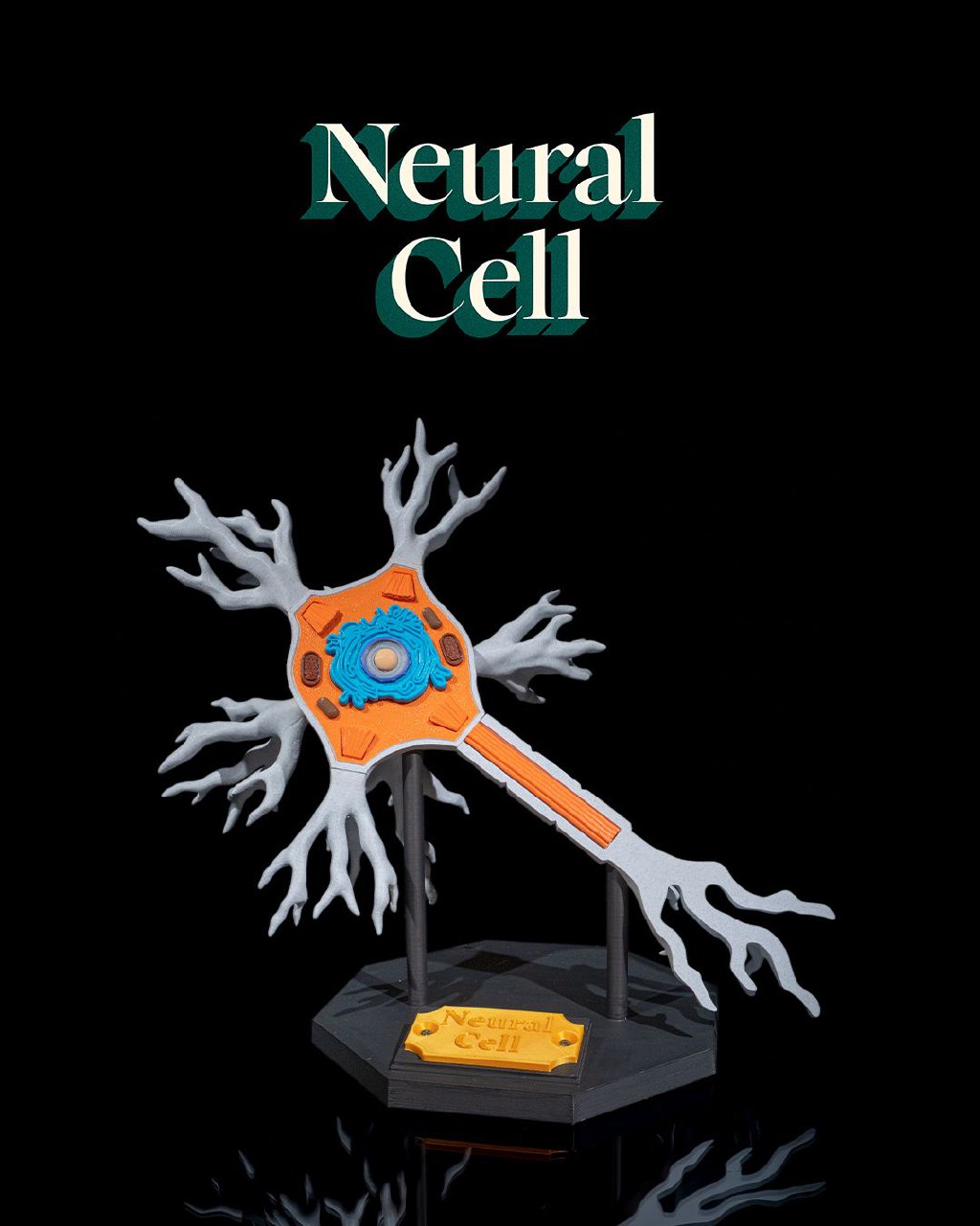 Neural Cell 23ef17a4b7