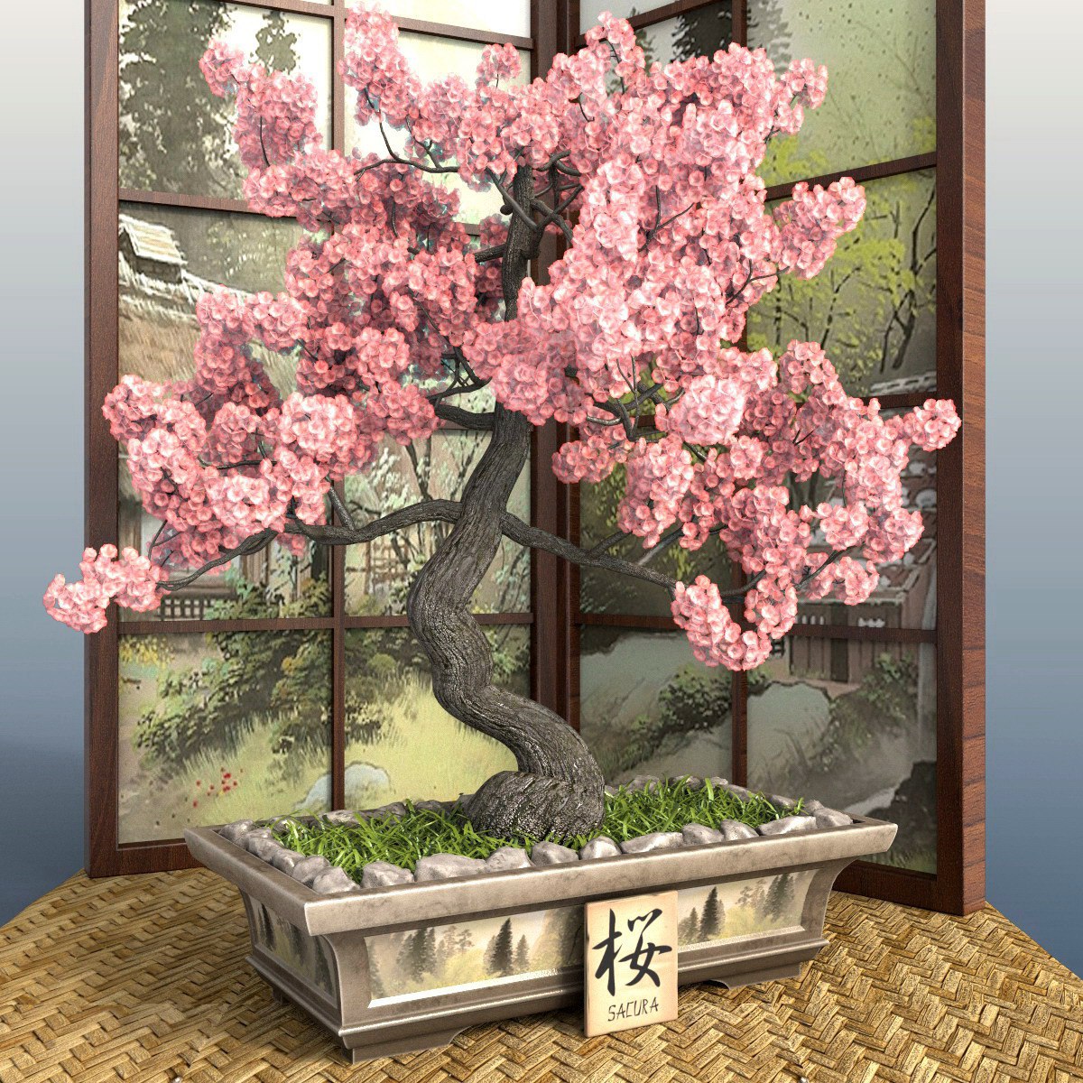 Cherry Blossom Bonsai