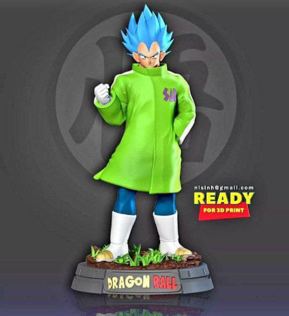Vegeta-In-A-Green-Coat20201130-15735-U4t30z