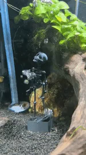 Skeleton Dancing Fish Tank