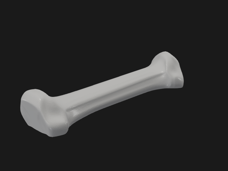 Flexi Factory Skeleton Saber Tooth Tiger Update