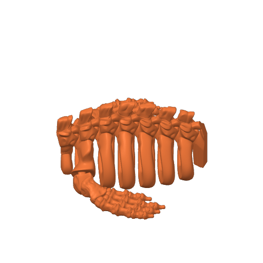Update XXL Skeleton Mosasaurus All