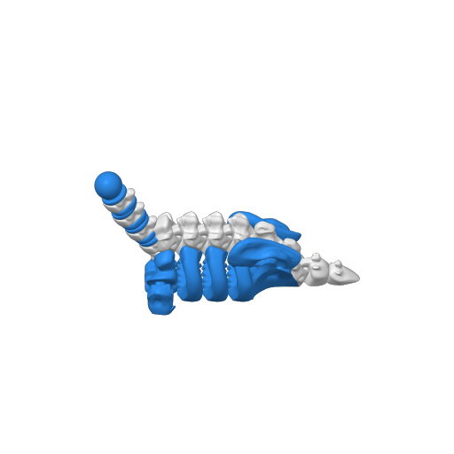Flexi Factory Skeletonpteranodon All