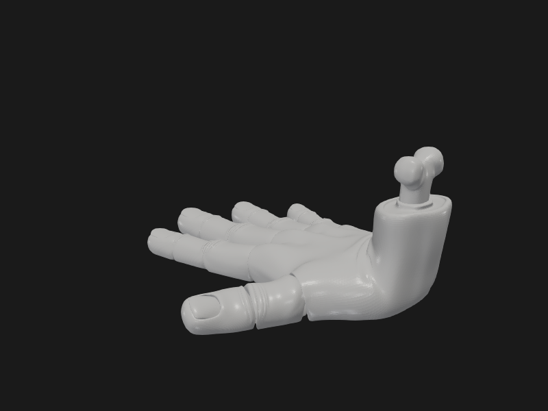 Flexi Mao