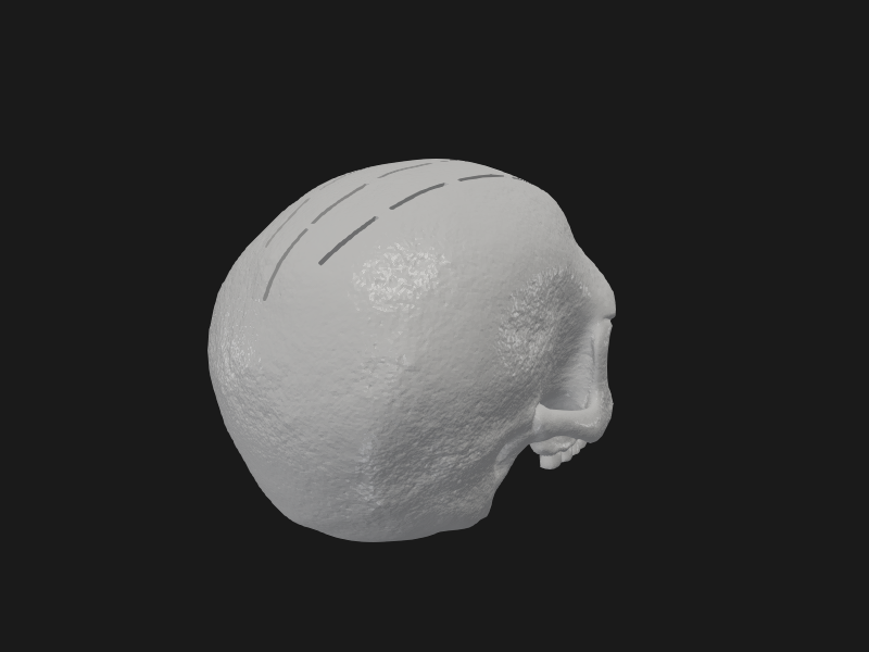 Hex3D PLAIN SkullPickHolder