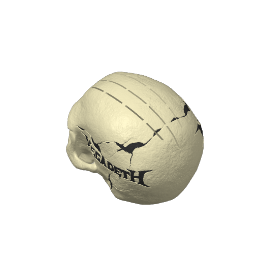 Hex3D MegadethSkullPickHolder
