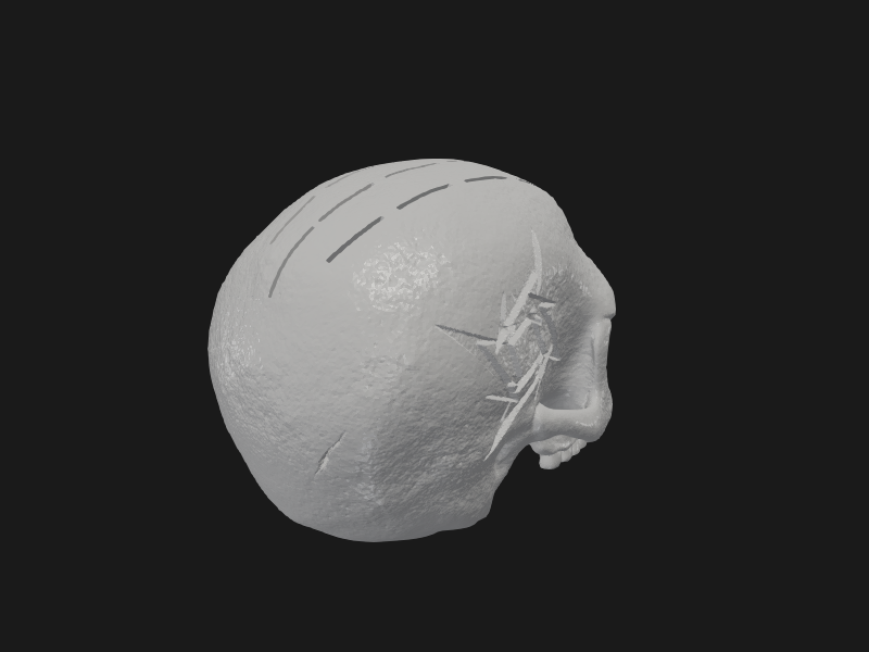 Hex3D MetallicaStarSkullPickHolder