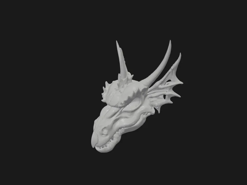 The Last Dragon Skull