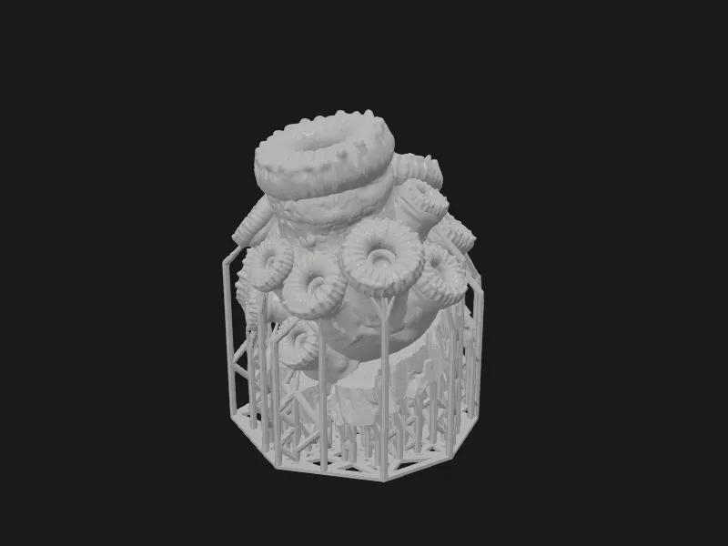Cannon Coral, Terrain