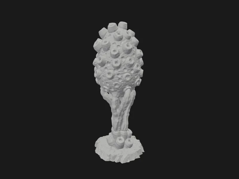 Poisonous Sponge Plants, Terrain
