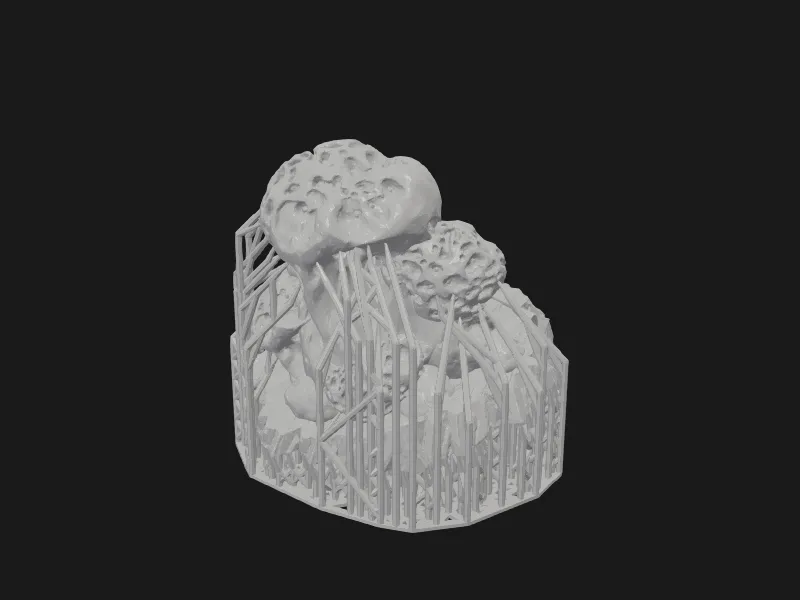 Wormhole Mushrooms,Puffball,Earthball,Ball Fungus Fungi, Terrain