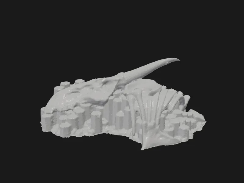 Bone Dragon Head SCAN